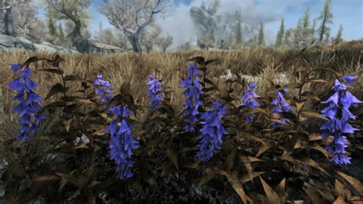 Do Nirnroots regrow in Skyrim?