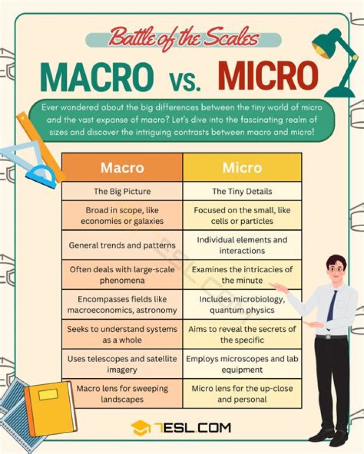 Focus macro and how to use one