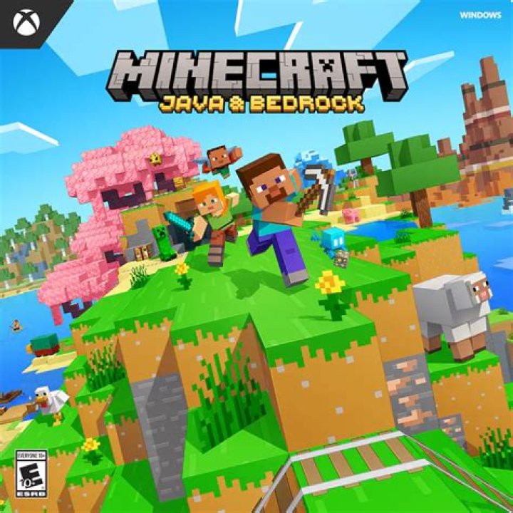I own minecraft bedrock edition for w10, can I buy Java?