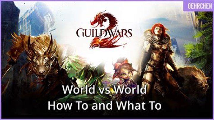 Is there a difference between map chat and team chat in WvW in Guild Wars 2?