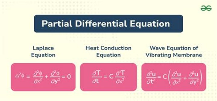 Partial Differential Equation with a flux term
