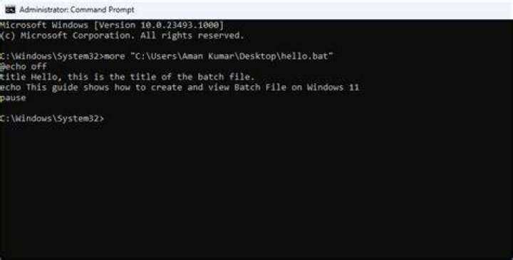 Prompt from batch file