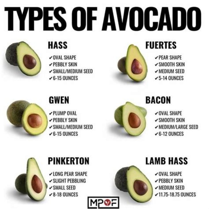 What's the difference between AVO and DDG?