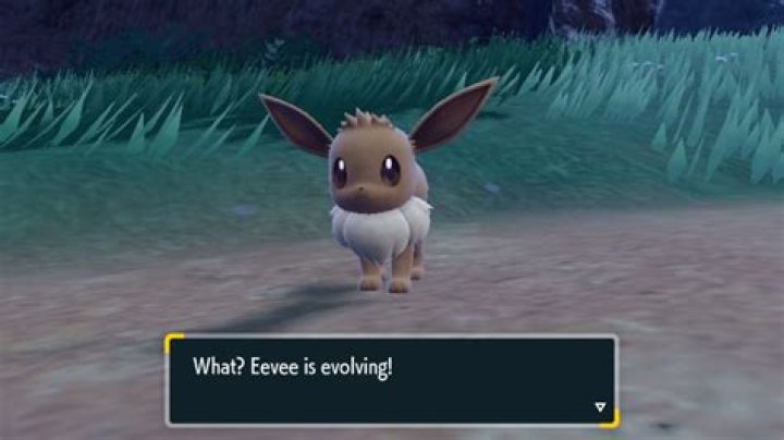 What advantage do I get by evolving my Pokemon?