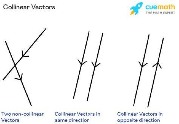 What are collinear lines?
