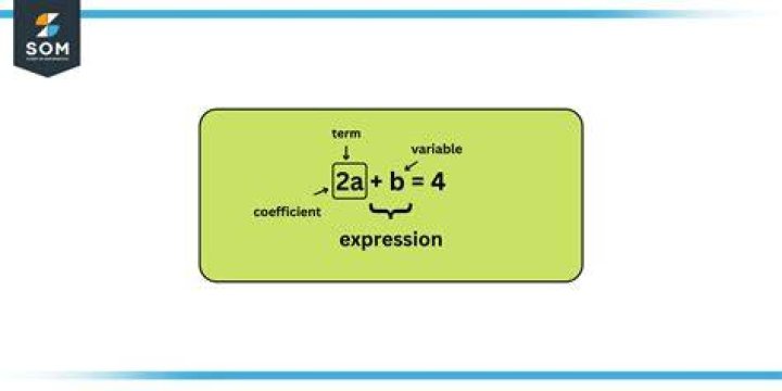 What is the meaning of the term "distance-preserving"?
