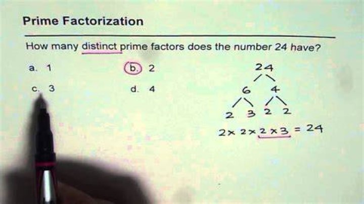 What is the smallest $20$ digit number with at least $13$ distinct prime factors?