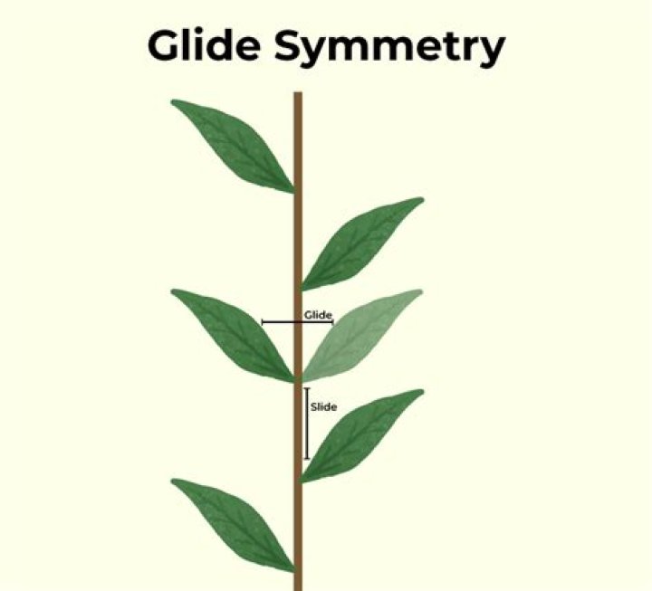 Why is "glide symmetry" its own type?